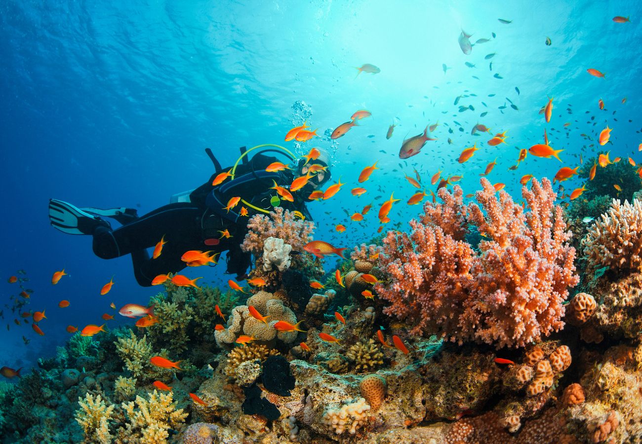 bautismo de buceo en tarragona