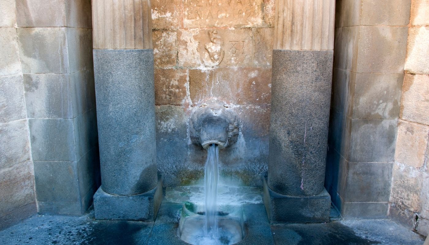 fuente del leon