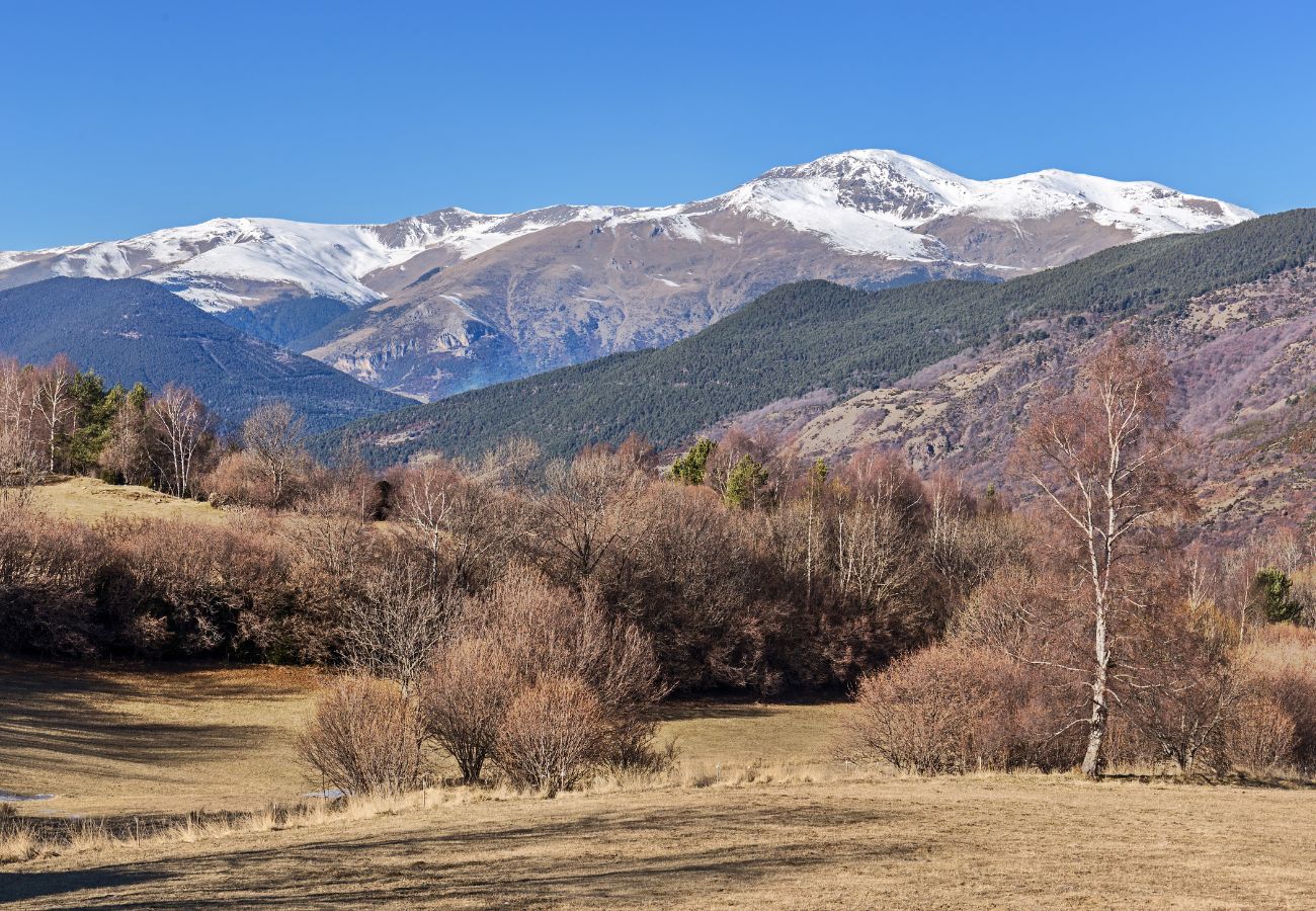 pueblo vall de ribes de pardines