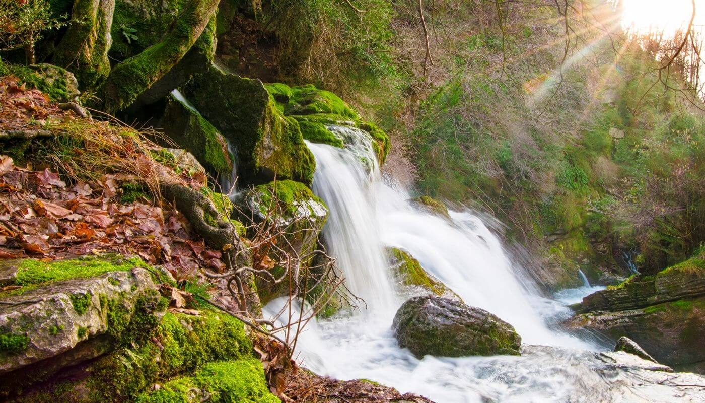 imagen de las fuentes del llobregat