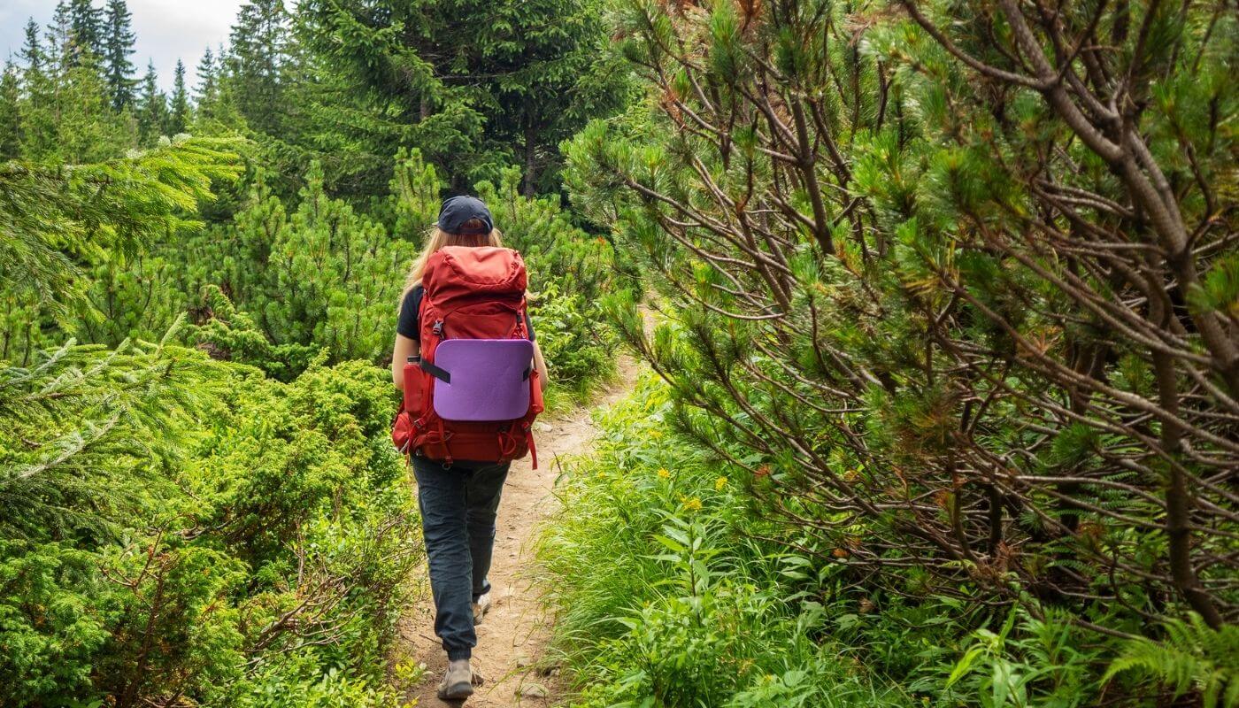 senderismo y rutas en ribes de freser