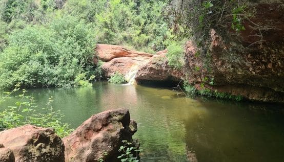 riells del fai gorg negre imagen