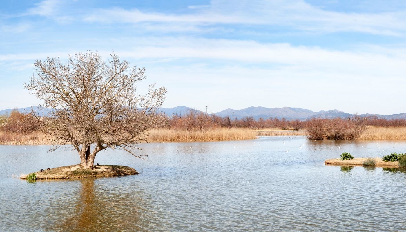 visitar aguamolls emporda