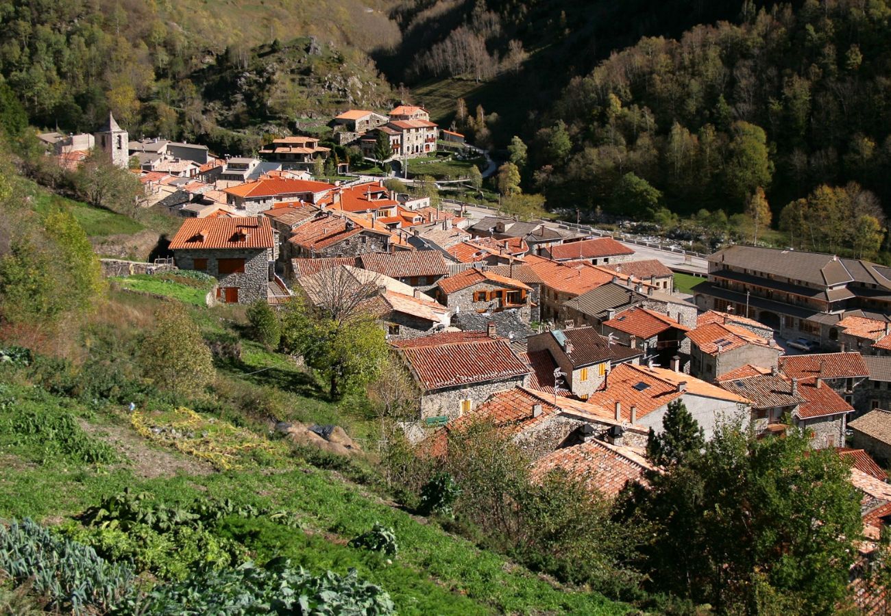 pueblo pirineus setcases